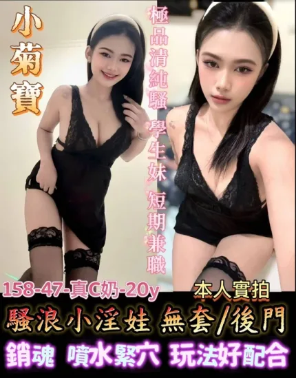 台南定點茶-小菊寶