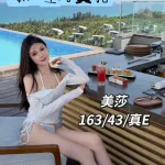 台中定點茶-美莎