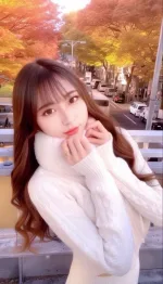 新竹定點茶-櫻妃奈