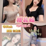 台南定點茶-櫻花妹