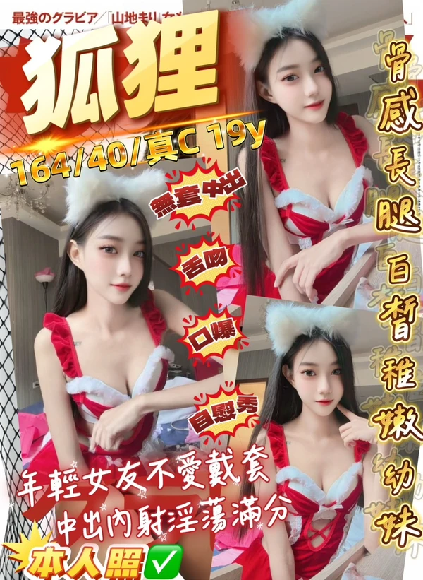 桃園定點茶-狐狸 桃園定點茶-狐狸