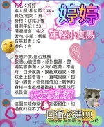台中定點茶-婷婷