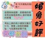 台中定點茶-媚兔