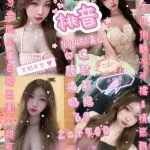 新竹定點茶-桃音